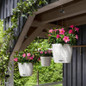 Nido Cottage Round Hanging Planters on the Overhang