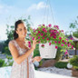 Nido Cottage Round Hanging Planter With Flowers