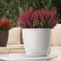 CLASSICO Color LS Self-Watering Round Planter