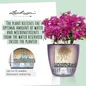 CLASSICO Color LS Self-Watering Round Planter Micronutrients