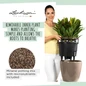 CLASSICO Color LS Self-Watering Round Planter WIth Potting Mix