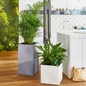 Canto Premium Planters