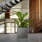 Modern Self Watering Canto Premium Planters