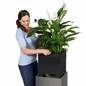 Large Canto Premium Planters With Liner