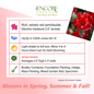 Autumn Fire Encore Azalea Care Instructions Autumn Fire Encore Azalea Care Instructions
