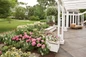 Large Let's Dance Starlight Hydrangea Flowers in Flower Garden
