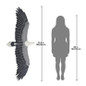 Wingspan Sea Eagle Statue Dimensions