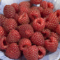 Heritage Red Raspberry Berries Close Up