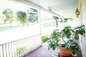 Fignomenal fig tree patio display