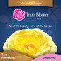 True Bloom cover