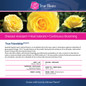 True Bloomplant information