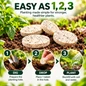 Easy-As-123 Grotab Rootboost