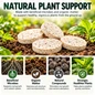 Natural-Plant-Support Grotab Rootboost