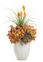 Pyromania Orange Blaze Red Hot Poker in Planter Combo