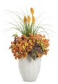 Pyromania Orange Blaze Red Hot Poker in Planter Combo