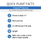 Private Jet Arborvitae plant facts information
