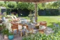 Agapanthus plants decorating outdoor patio