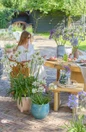 Agapanthus Ever White flowers with woman