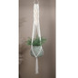 Macrame Arrow Pattern Plant Hanger with plants