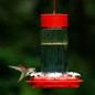 Scarlet Swirl Glass Hummingbird Feeder