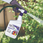 Bonide Fruit Tree Insect and Disease Control Spray