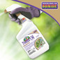 Bonide Captain Jack’s Neem Oil Ready-to-Use  Kills mites, aphids, whiteflies and more