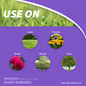Bonide Infuse Systemic Disease Control Concentrate Use