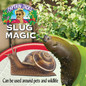 Bonide Slug Magic Granules Attracts and Kills Slugs and Snails
