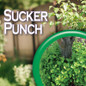 Sucker Punch Ready-to-Use Promotes the Growth and Development of Strong Branches