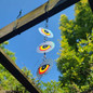 Dalen Reflective Bird Discs Protection for Balconies