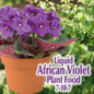 Bonide African Violet Food 7-10-7 Conc Promotes Healthy and Robust Blooms