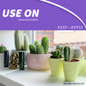 Bonide Cactus Food 2-7-7 Concentrate Easy To Apply