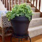 Flex Ridge Planters besid the stair