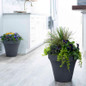Flex Ridge Planters in the kitchen
