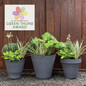 Flex Step Planter