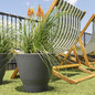 Flex Step Planter