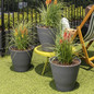 Flex Step Planter