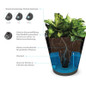TruDrop self watering infographics