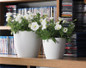 White Eva Planter with Flowers