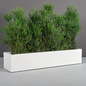 Cuba Low Rectangular Planter with Plants _