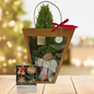 Lemon Cypress Cone in Red Ridges Metal Lined Pot with Light Set Pick & Bag Christmas