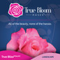 True_Bloom_Web_1500x1500px_2025_BLISS_FRONT