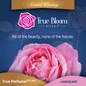 True Bloom cover