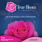 True Bloom Web front cover