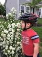 Child beside flowering Pearls of Perfume