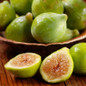 Champagne Fig Tree Fruit