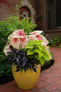 Heart to Heart® Raspberry Moon Caladium in mixed annual garden planter