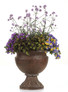Supertunia Mini Vista® Morning Glory Petunia in Mixed Annual Urn Planter