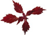 ColorBlaze® Royale Cherry Brandy® Coleus Leaves