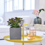 Canto Stone Small Cube Planter on Table